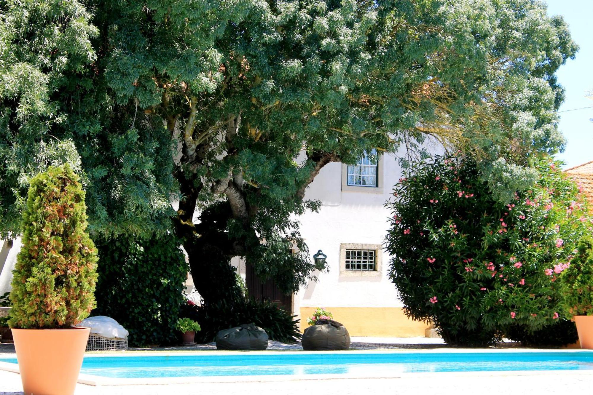 Quinta Do Casal De Santo Antonio Villa อาเลงเกียร์ ภายนอก รูปภาพ