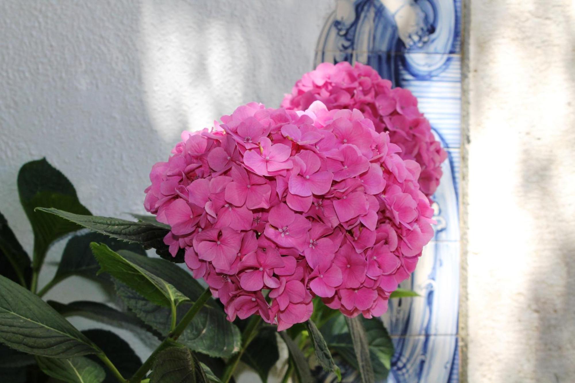 Quinta Do Casal De Santo Antonio Villa อาเลงเกียร์ ภายนอก รูปภาพ