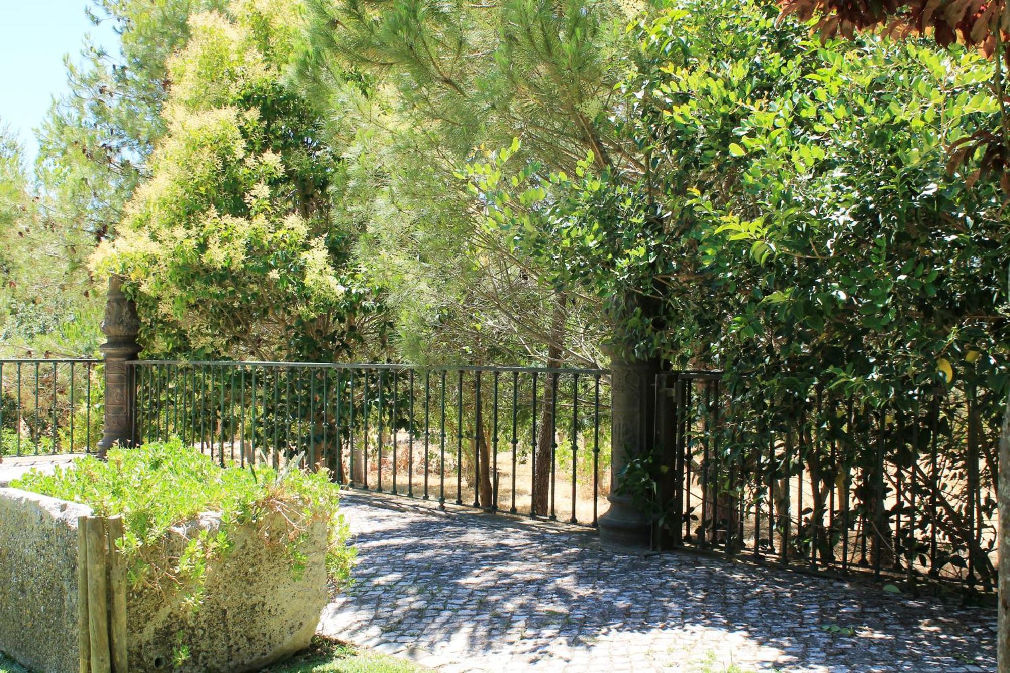 Quinta Do Casal De Santo Antonio Villa อาเลงเกียร์ ภายนอก รูปภาพ