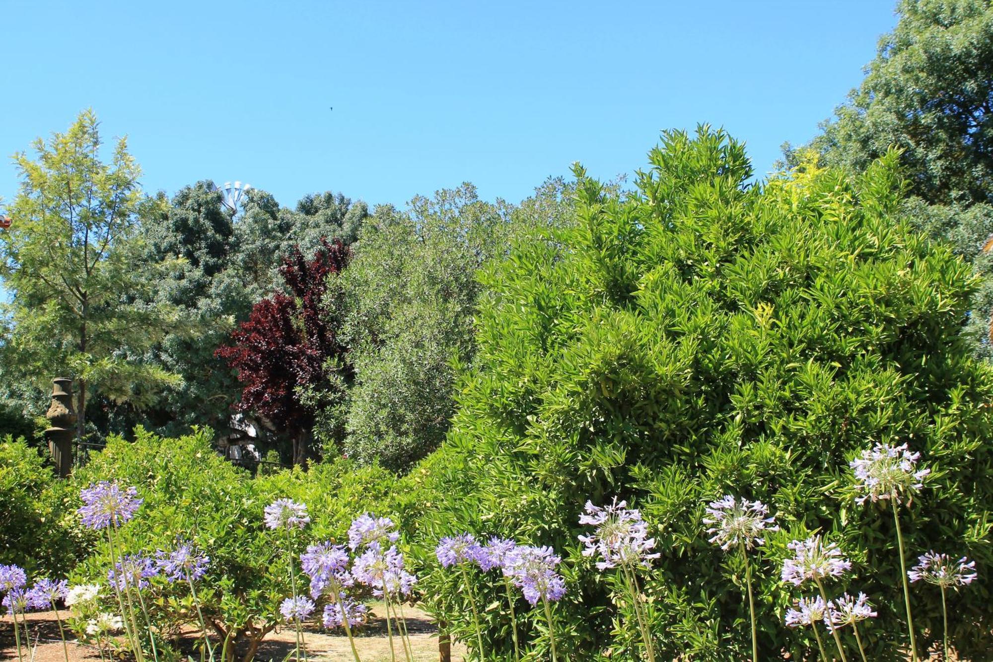 Quinta Do Casal De Santo Antonio Villa อาเลงเกียร์ ภายนอก รูปภาพ