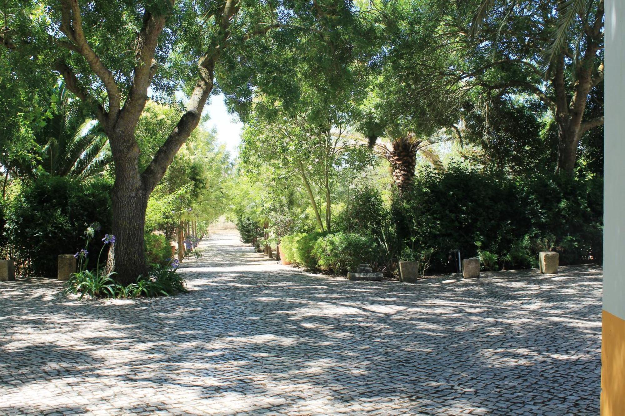 Quinta Do Casal De Santo Antonio Villa อาเลงเกียร์ ภายนอก รูปภาพ